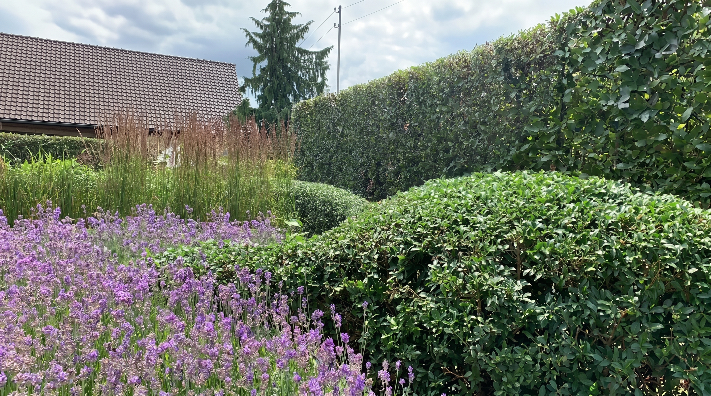 Jaarrond tuinonderhoud villatuin Oostkamp
